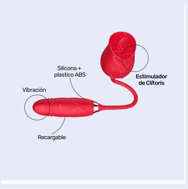 Vibrador con Bala Lotus Camtoyz